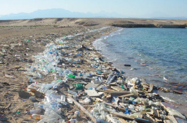 Although much of garbage from land is driven back to shore, some still comes back into the ocean with large currents.